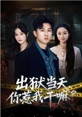 出狱当天，你惹我干嘛？(全集)