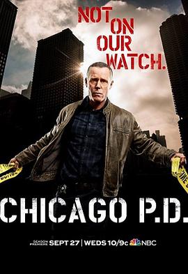 芝加哥警署第五季 第14集
