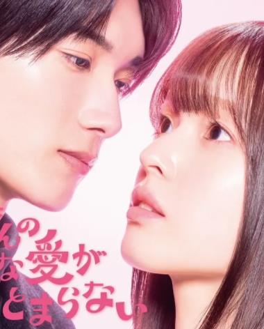 黑崎先生停不下来的专一之爱